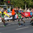 43rd Berlin Marathon Inline Skating | 24.09.2016 | IMG_0746