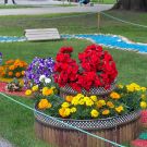 Tallinna lillefestival | "Kired aias","Terrassiaed" | 30.07.2016 | IMG_2247