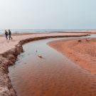 Riga-Jurmala | 30.03.2014 | IMG_2973