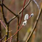 Riga-Jurmala | 30.03.2014 | IMG_2981